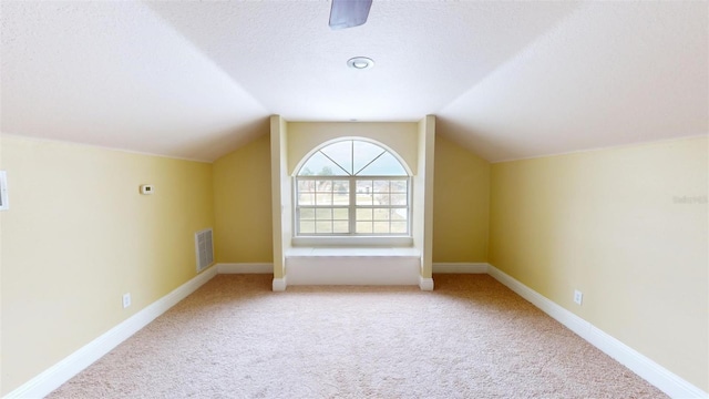 additional living space featuring a textured ceiling, carpet flooring, and lofted ceiling