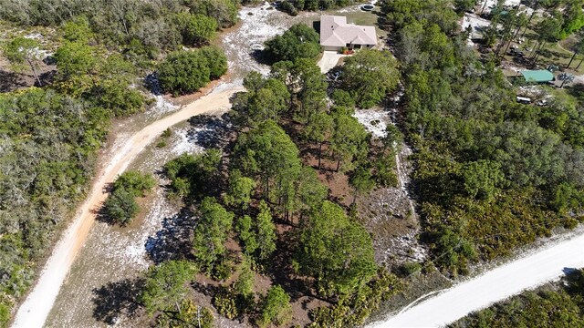 2772 Indian Pipes Trl, Frostproof, FL 33843 - photo 8