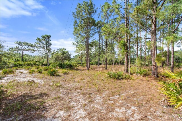 2772 Indian Pipes Trl, Frostproof, FL 33843 - photo 32