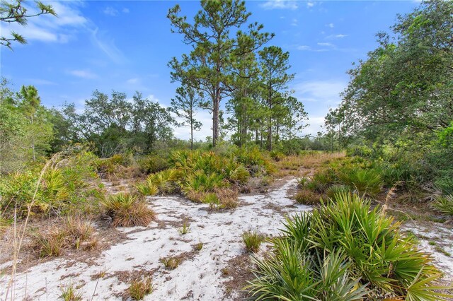 2772 Indian Pipes Trl, Frostproof, FL 33843 - photo 36