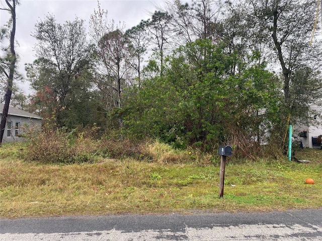 Clermont Dr, Kissimmee, FL 34759 - photo 2