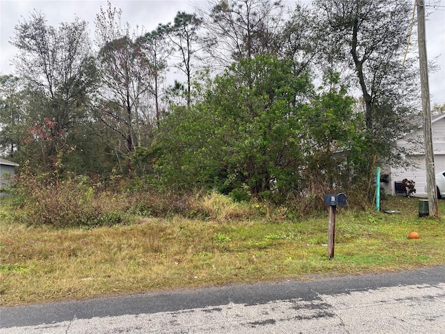 Clermont Dr, Kissimmee, FL 34759 - photo 4