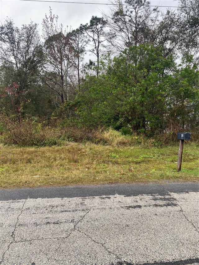 Clermont Dr, Kissimmee, FL 34759 - photo 5