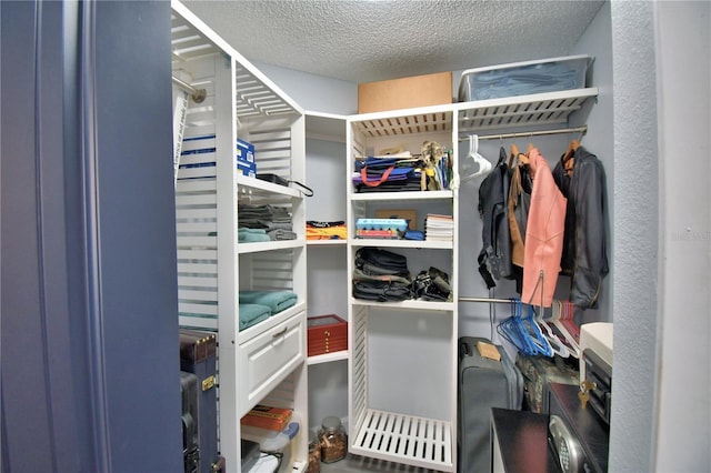 view of walk in closet