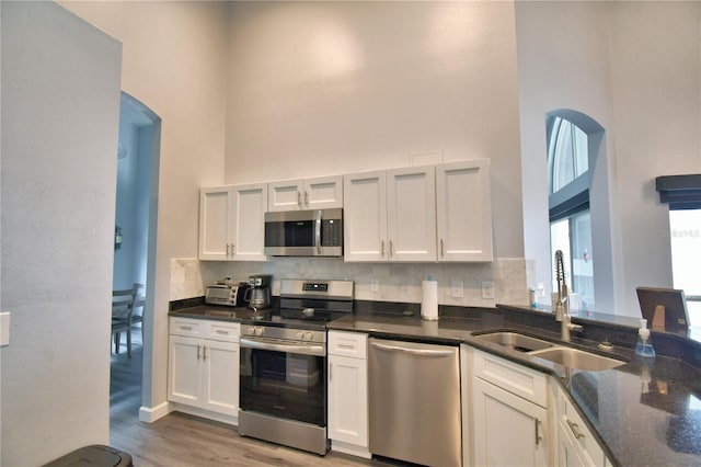 kitchen with white cabinetry, a towering ceiling, stainless steel appliances, and sink