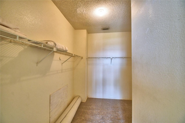 walk in closet with carpet