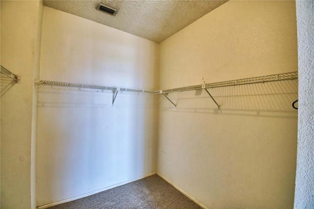 spacious closet featuring carpet flooring and vaulted ceiling