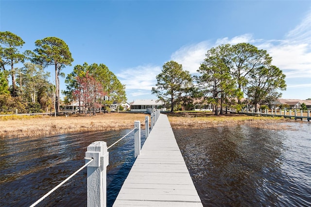 dock area with a water view