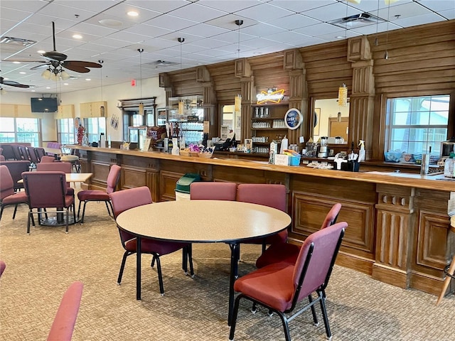 carpeted dining space featuring a healthy amount of sunlight, a paneled ceiling, bar area, and ceiling fan