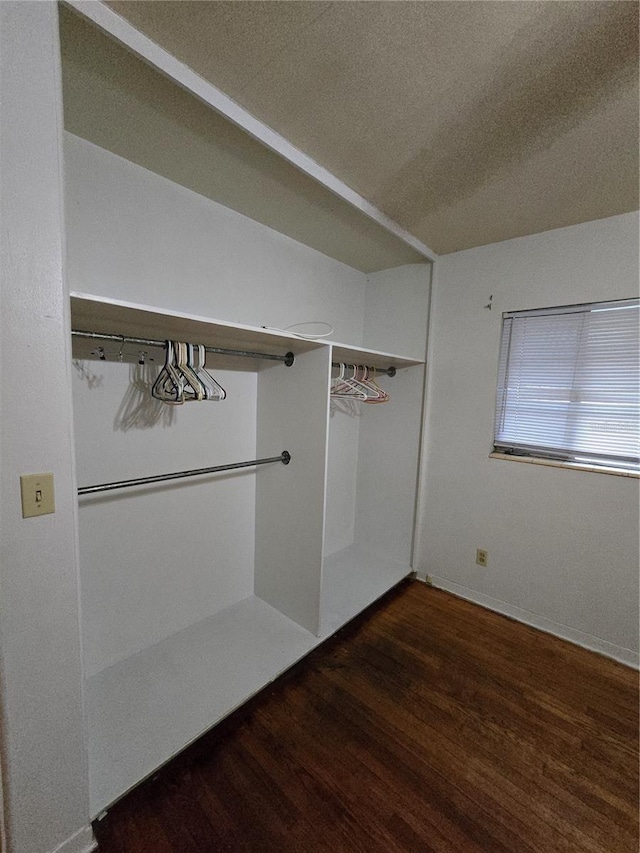 walk in closet with dark wood-type flooring