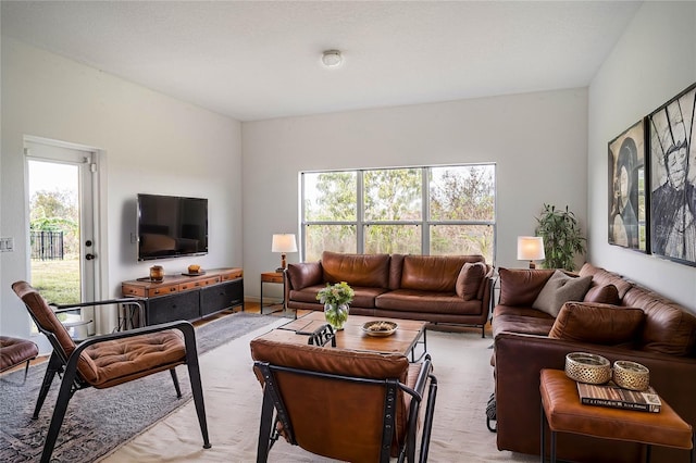 living room featuring light hardwood / wood-style flooring