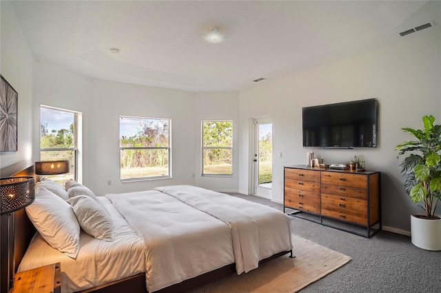 bedroom with carpet flooring and access to exterior