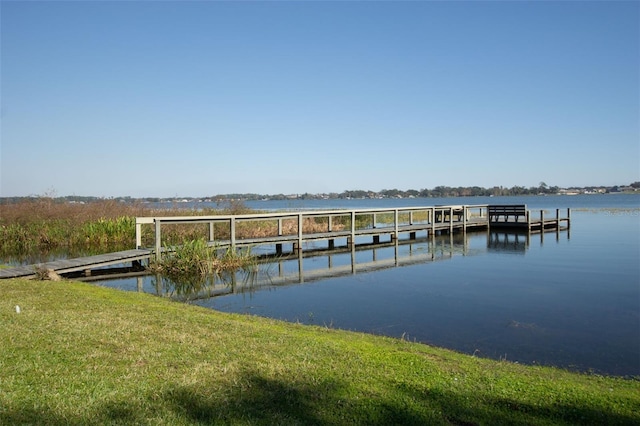 dock area with a water view