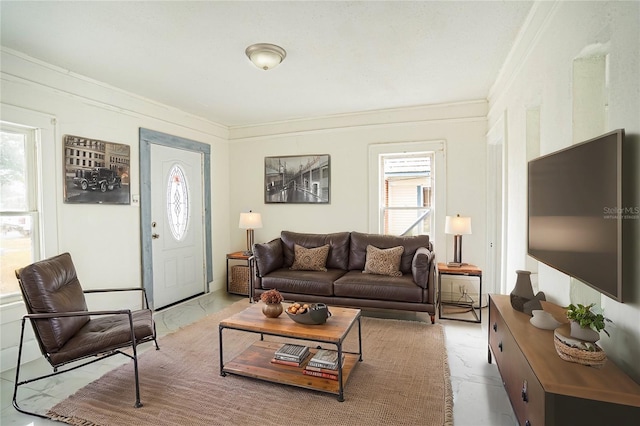 living room with ornamental molding and a wealth of natural light