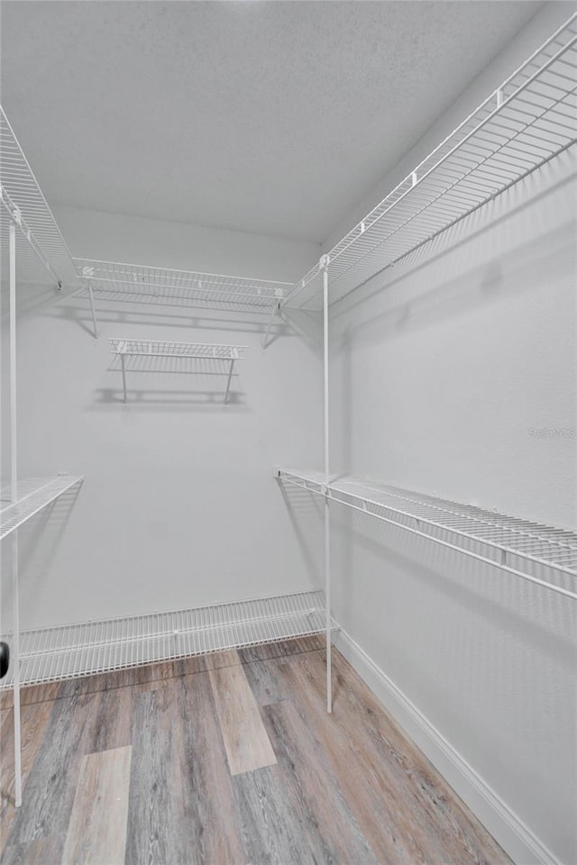 walk in closet with wood-type flooring