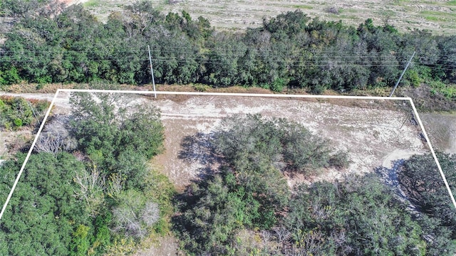 Listing photo 3 for Daniel St, Dundee FL 33838