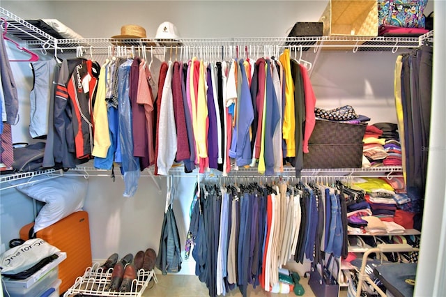 view of spacious closet