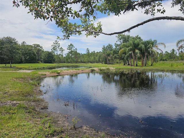 208 Limpkin Ln, Frostproof, FL 33843 - photo 39