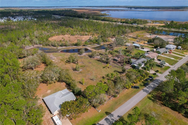 208 Limpkin Ln, Frostproof, FL 33843 - photo 45