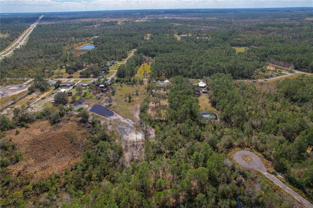 208 Limpkin Ln, Frostproof, FL 33843 - photo 47