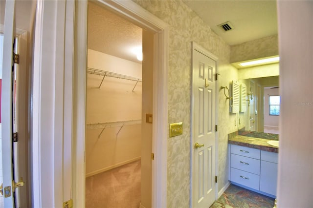 bathroom featuring vanity and a textured ceiling