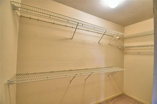 walk in closet featuring carpet