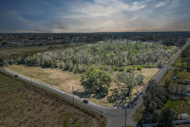7835 Kathleen Rd, Lakeland, FL 33810 - photo 4
