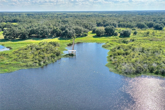 birds eye view of property featuring a forest view and a water view