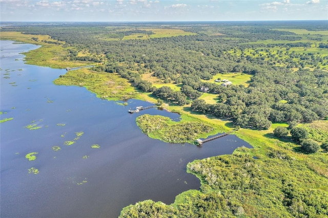 aerial view featuring a water view and a forest view