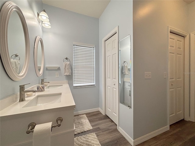 bathroom with wood-type flooring and vanity