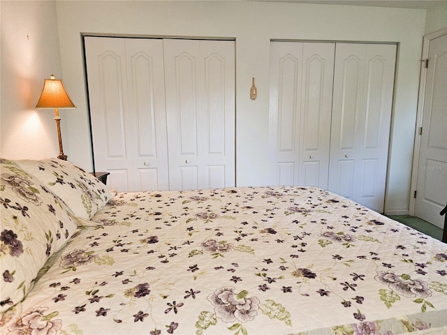 bedroom featuring multiple closets