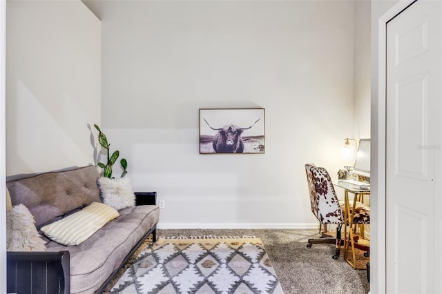 living area featuring carpet flooring