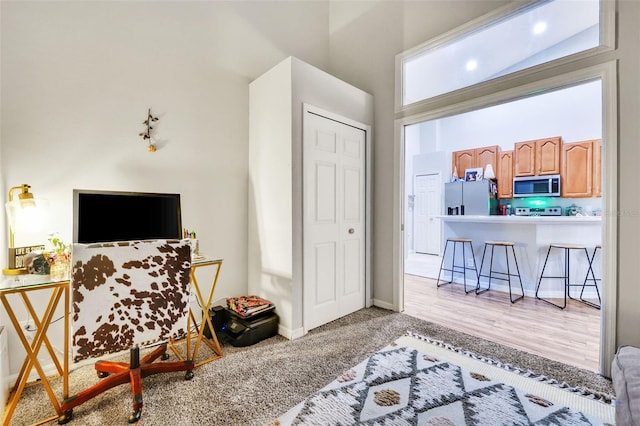 living area with a high ceiling