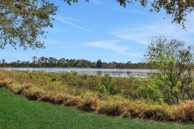 property view of water