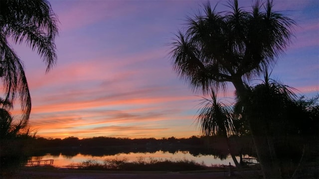 nature at dusk featuring a water view