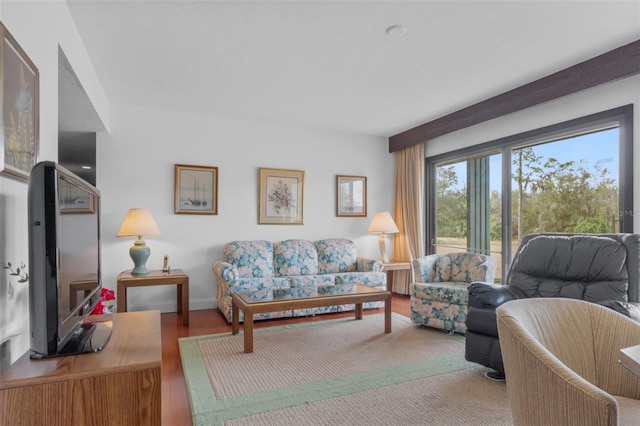 living room featuring hardwood / wood-style floors