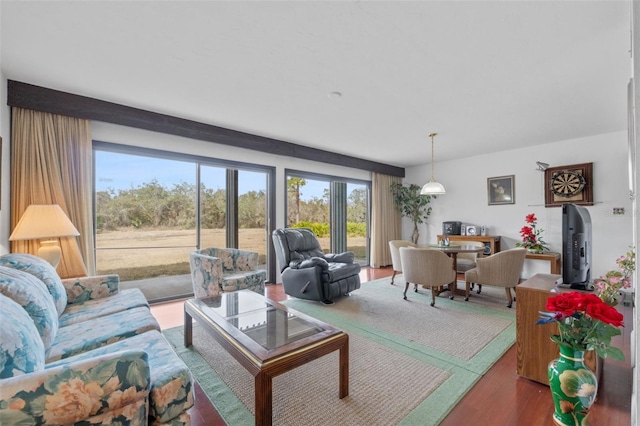 living room with hardwood / wood-style floors