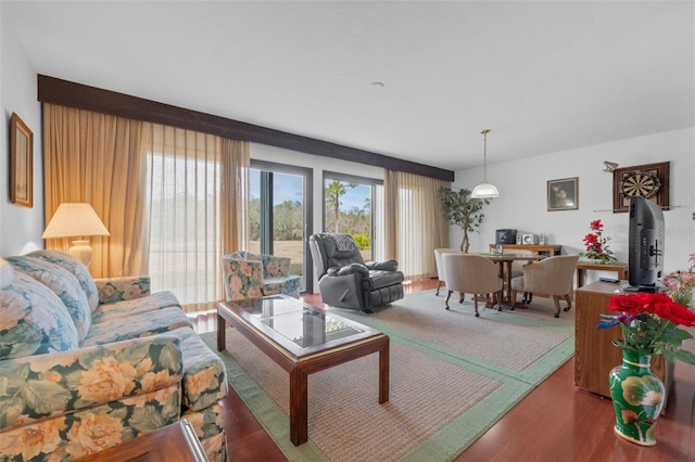 living room featuring hardwood / wood-style flooring