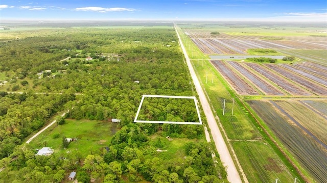 801 Yeehaw Ave, Clewiston, FL 33440