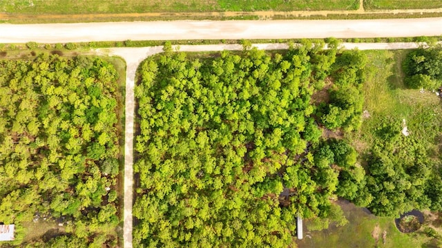 801 Yeehaw Ave, Clewiston, FL 33440