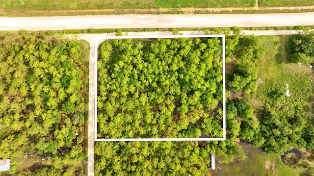 801 Yeehaw Ave, Clewiston, FL 33440