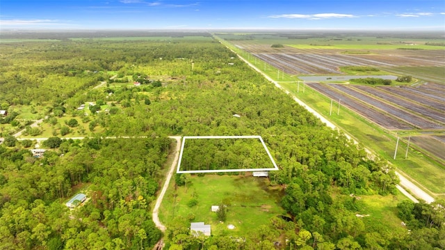 800 Wildwood Ave, Clewiston, FL 33440