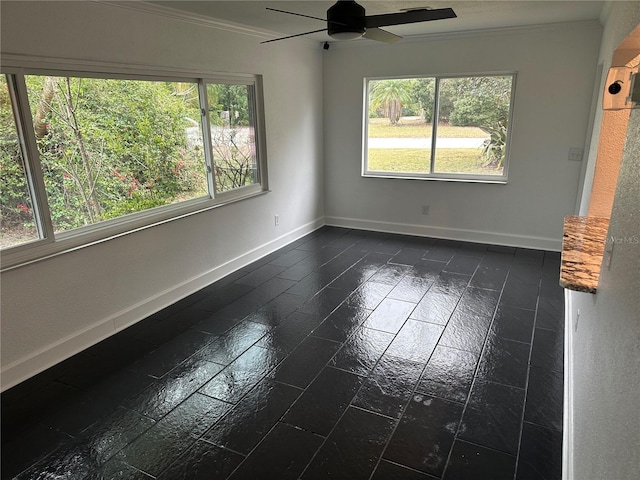 spare room featuring ceiling fan and ornamental molding