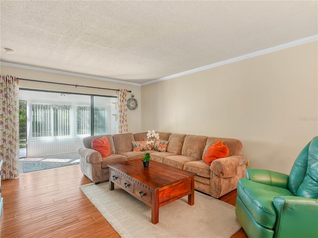 2002 Granada Ct Unit 1, Lake Wales, FL 33898 - living room with a textured ceiling, crown molding, and light hardwood / wood-style floors