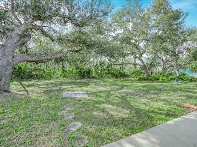 2002 Granada Ct Unit 1, Lake Wales, FL 33898 - view of yard