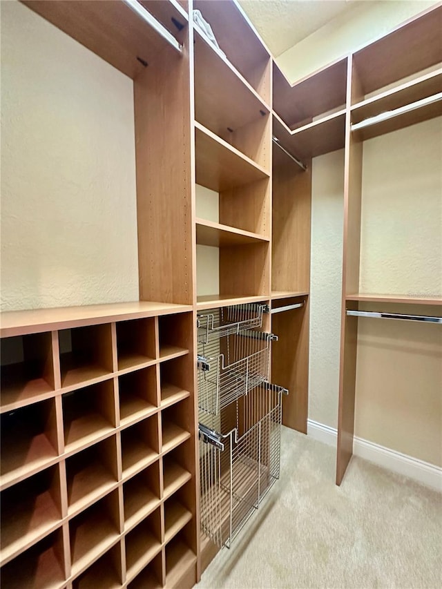 spacious closet featuring carpet flooring