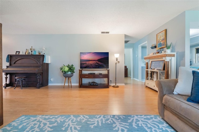 living room featuring wood-type flooring and a textured ceiling