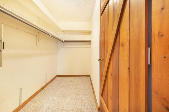 walk in closet with carpet floors