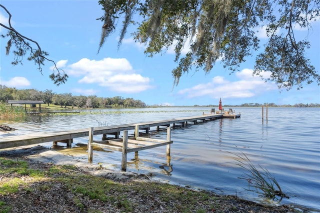 dock area with a water view