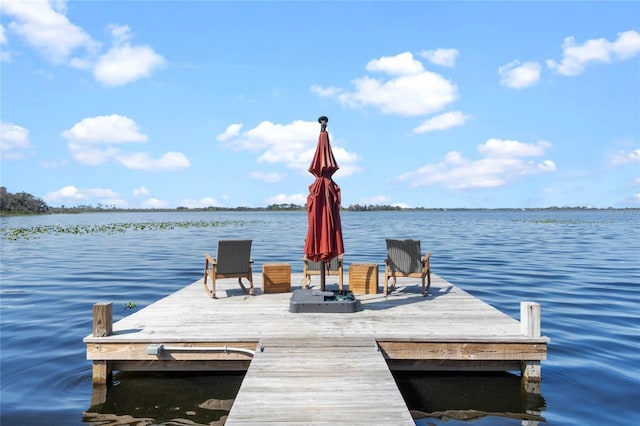 dock area with a water view